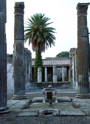 Vista de un atrio, posiblemente de la Casa del Fauno